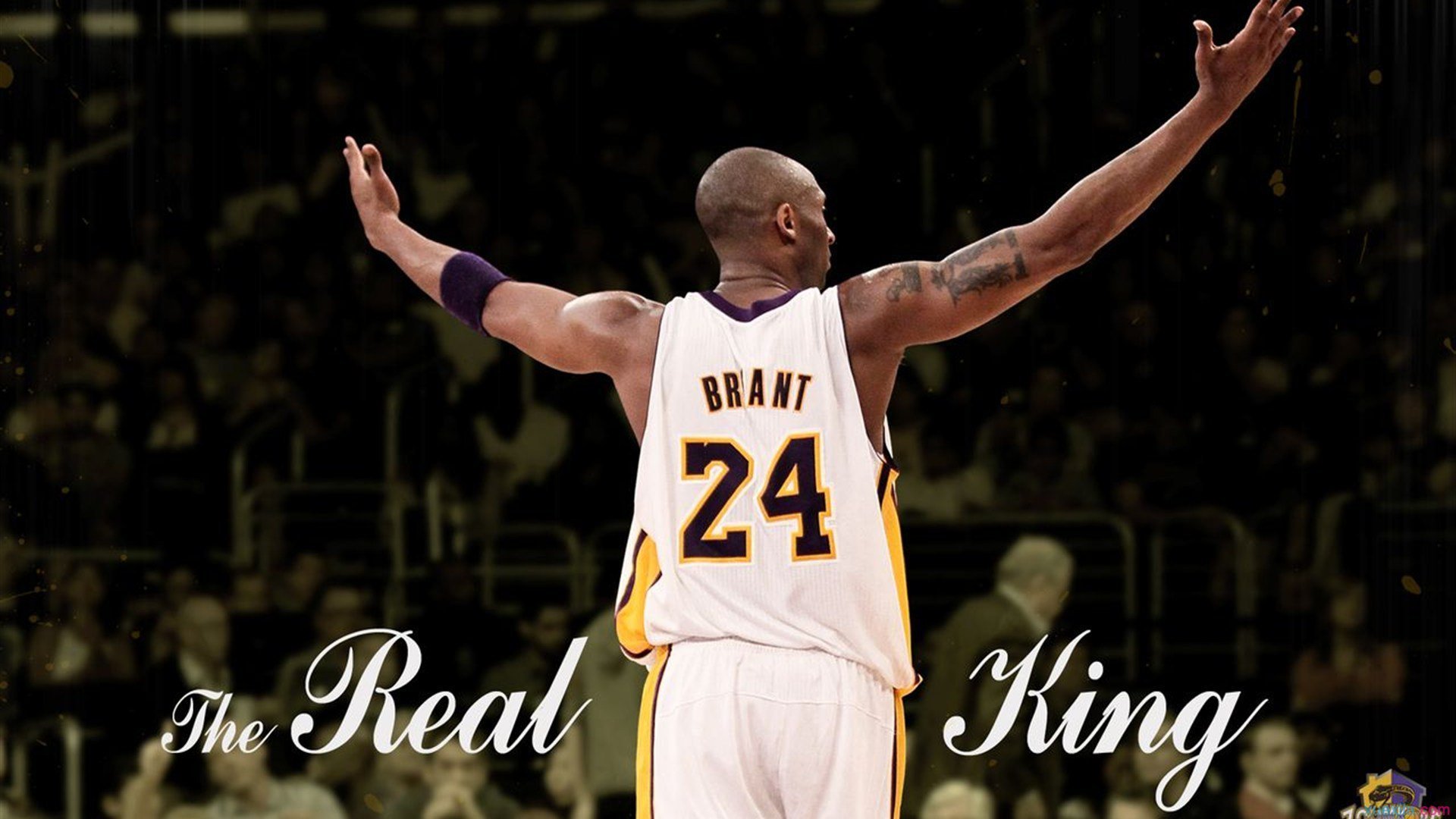 九游娱乐官网 (JIUYOU)-_终极对决：当代两大顶尖选手的巅峰较量_，终极对决简介