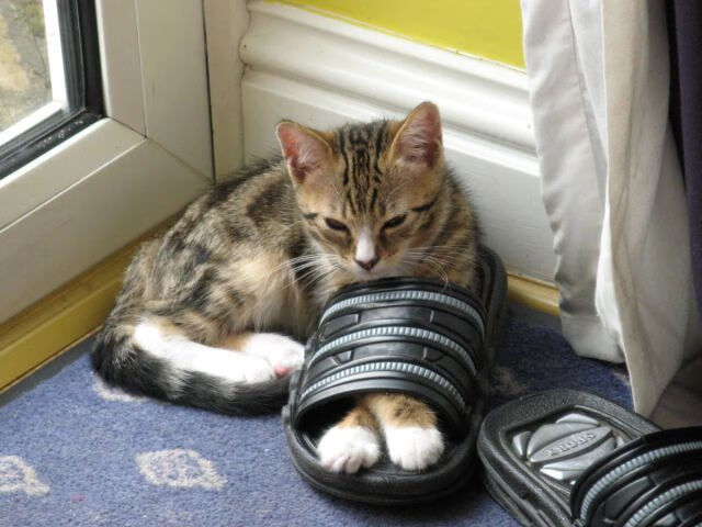 _精选瞬间:网球比赛中的神奇得分集锦_,网球比赛得分和失分标准