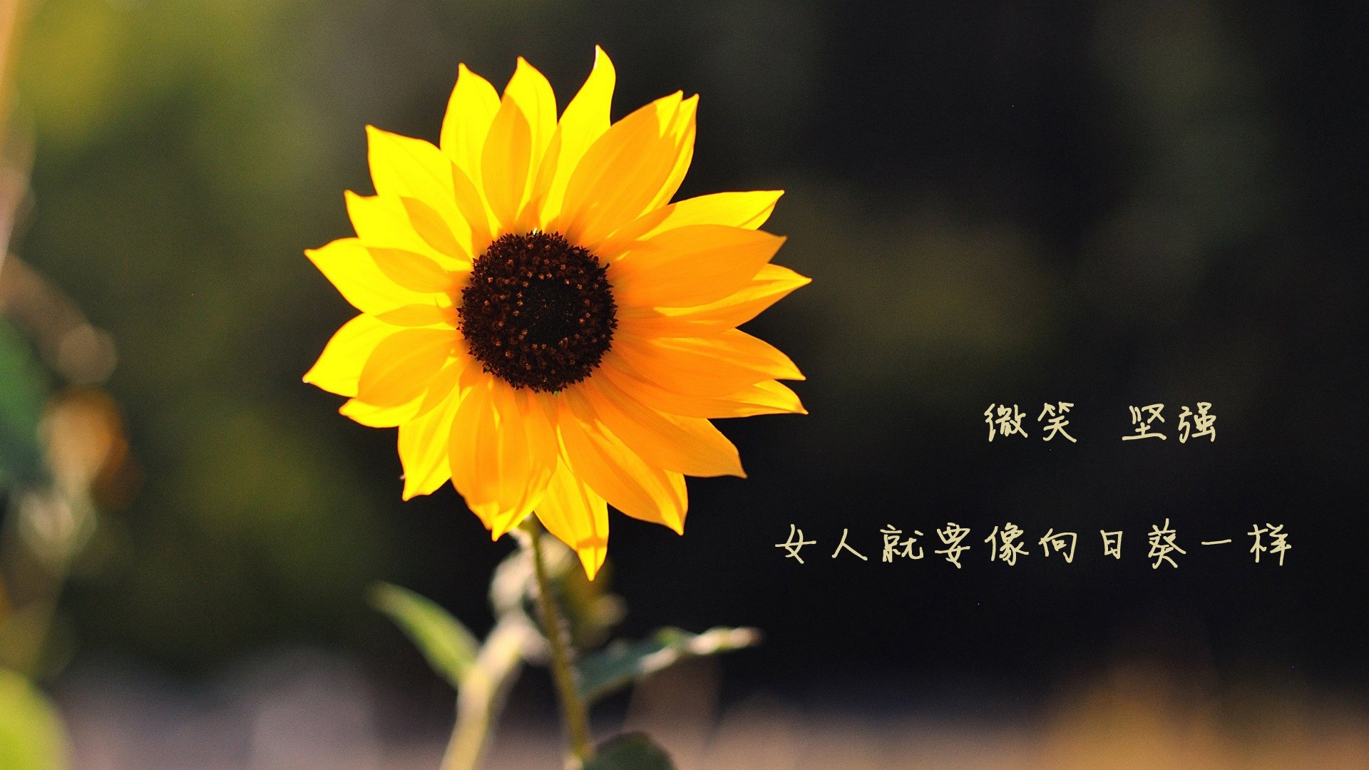 江苏队在主场大逆转,赢得本赛季最佳比赛奖,江苏队官宣