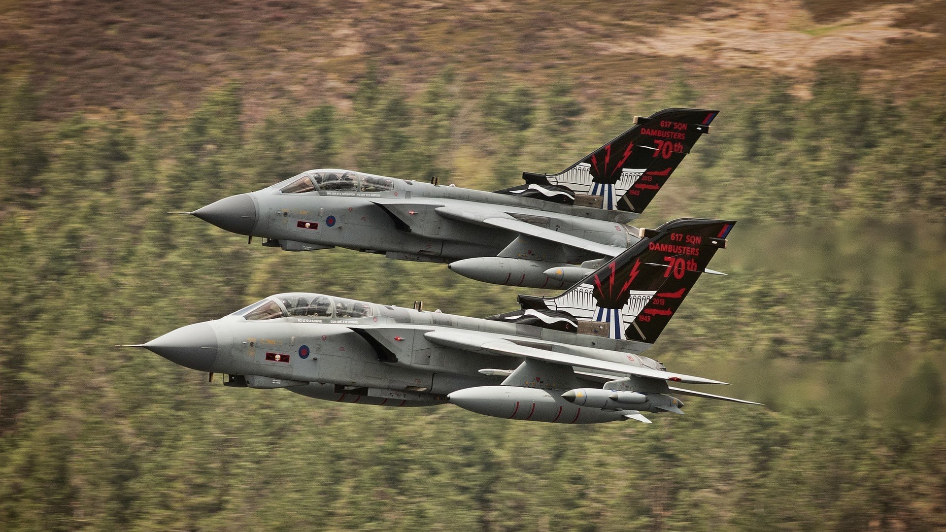 九游娱乐-狼队夺冠在望！，狼队获胜