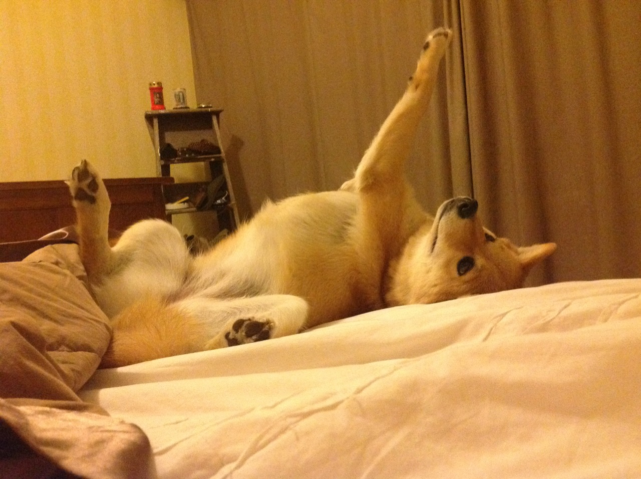 北京国安豪取连胜，排名榜首势不可挡，北京国安实力怎么样