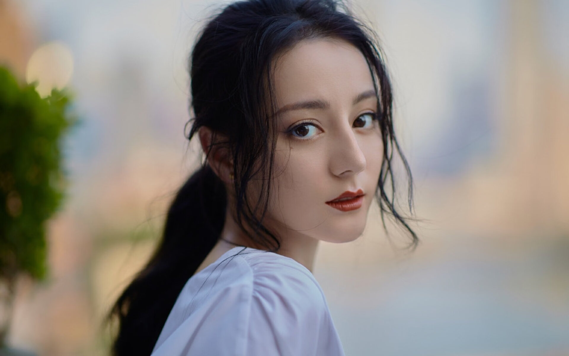 荷兰马术协会建立马匹基因数据库,促进马匹选育与训练。,荷兰马后