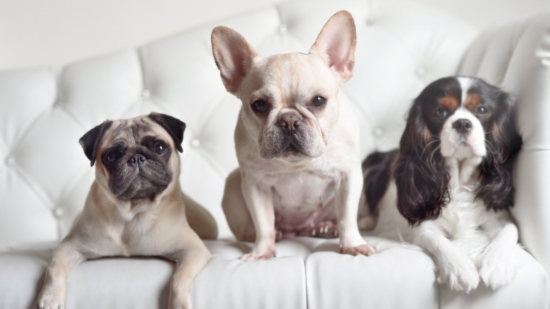 九游网页版官网-青少年篮球运动员体能评估标准，青少年篮球运动技能等级测试