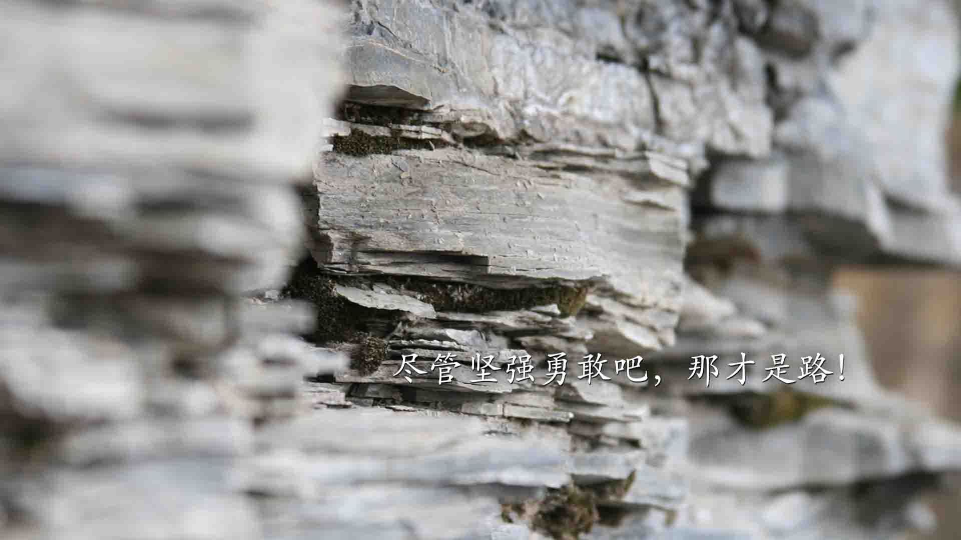 JIUYOU GAMING-英超赛季中的裁判技术提升方案，英超裁判水平