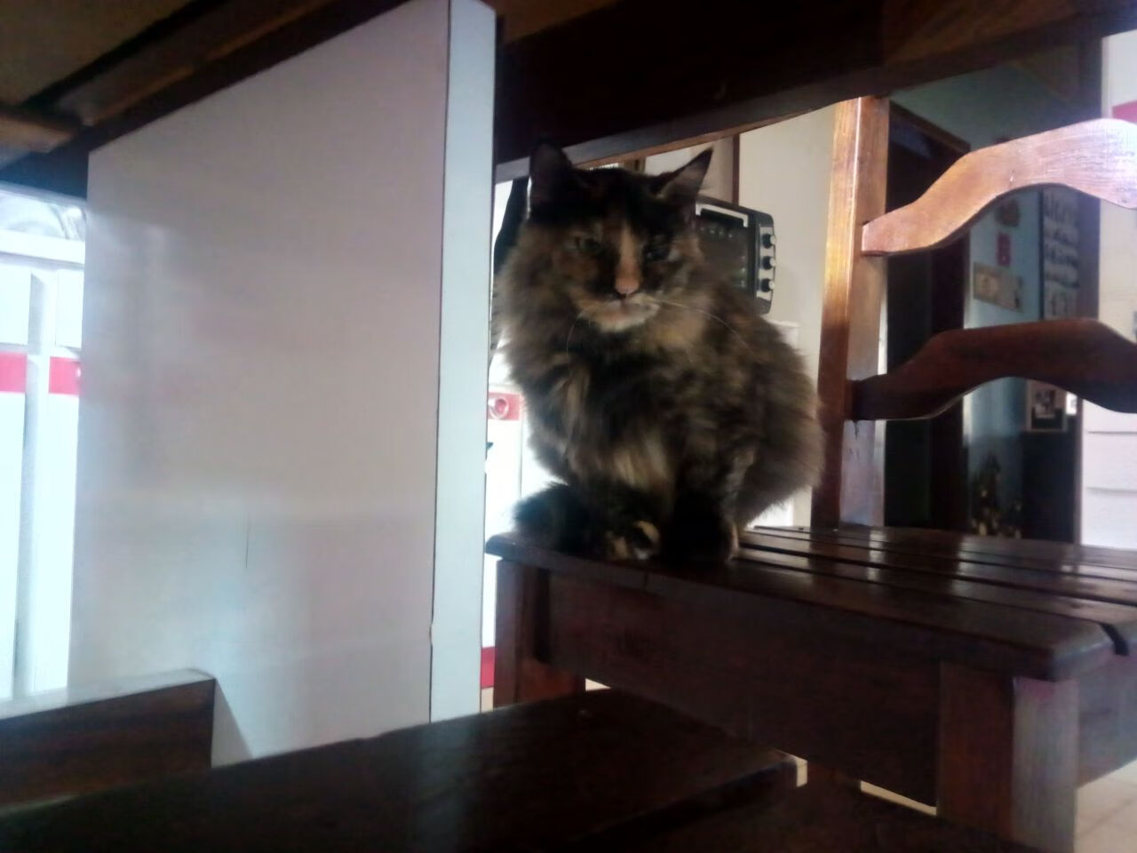 九游下载官网-荷兰队迎来新主帅，战术全面革新